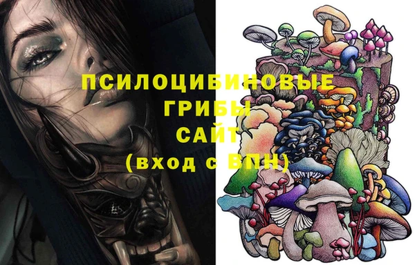 ALPHA PVP Медногорск