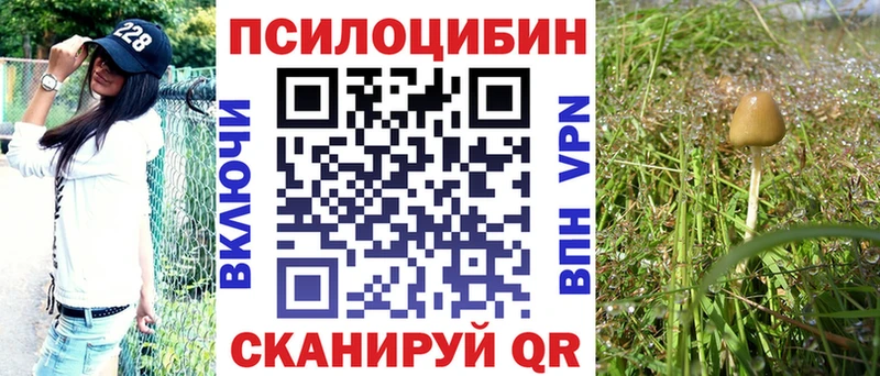 Галлюциногенные грибы прущие грибы купить закладку Великий Новгород